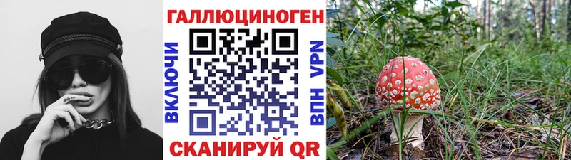 Псилоцибиновые грибы прущие грибы хочу Мураши